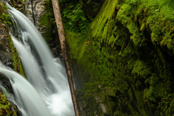 Fallen Tree Trunk Divides The Sol Duc Falls And The Tall Moss Covered Wall
