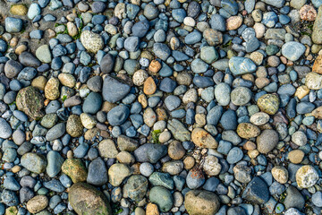 Lincoln Park Rocks Background