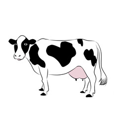 Cute cartoon animal characters, bright colors