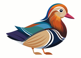 Mandarin Duck vector illustration
