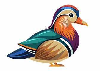  Mandarin Duck vector illustration
