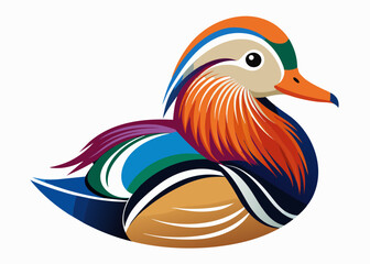  Mandarin Duck vector illustration
