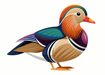  Mandarin Duck vector illustration
