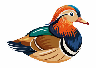  Mandarin Duck vector illustration
