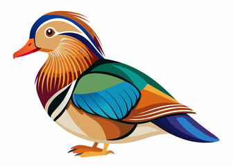  Mandarin Duck vector illustration

