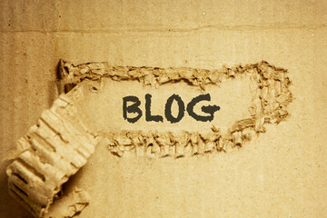 Torn cardboard, brown, in the torn place - blog, used for design work and layouts.