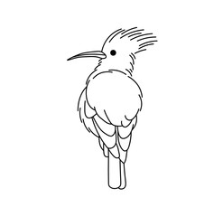 Fototapeta premium Vector isolated one single bird with a tuft colorless black and white contour line easy drawing