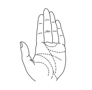 recommend clip art: Vector isolated one single left hand palm with line palmistry template  colorless black and white contour line easy drawing