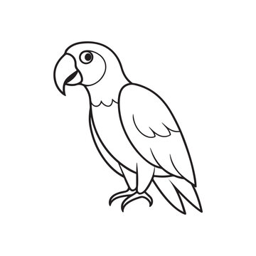 recommend clip art: Vectir parrots line art and illustration, hand drawing,
                    
