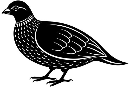recommend clip art: quail silhouette vector illustration