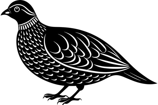 recommend clip art: quail silhouette vector illustration
