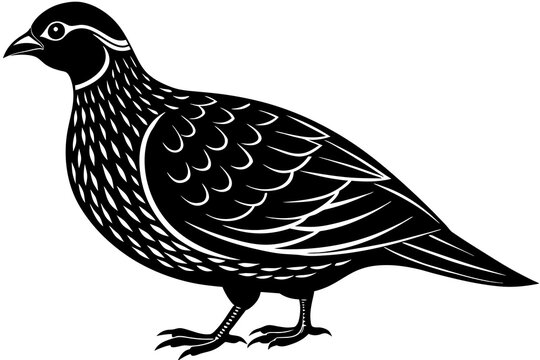 recommend clip art: quail silhouette vector illustration