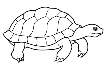 tortoise outline art vector illustration