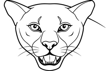 male puma outline art head vector illustration