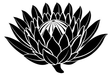 king protea flower silhouette vector illustration