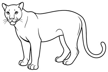 puma vector outline illustration