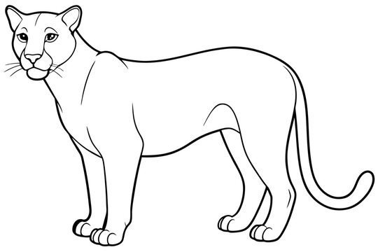 recommend clip art: puma vector outline illustration