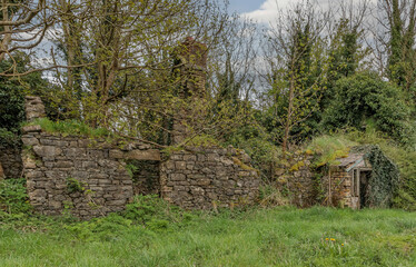 Derelict and broken cottage which nature has taken back