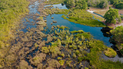 Aerial drone view of lush green  swamp scenery at Pantai Jambu Bongkok, Marang, Terengganu, Malaysia