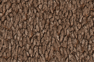 small bark texture background