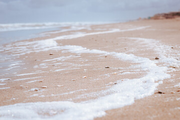 sea foam in the shore
