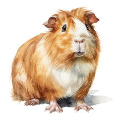 Fototapeta premium country pig watercolor isolated on transparent background cutout