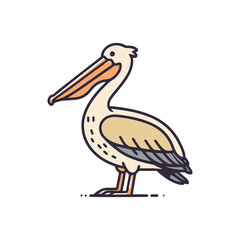 pelican on white background