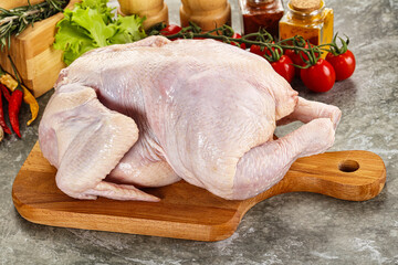 Raw whole chicken for cooking