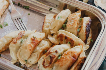 close up on Japanese gyoza dish