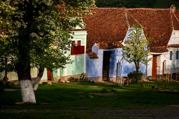 Colored old houses in the Viscri village, Romania