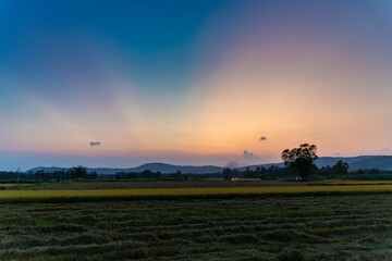 View of rice field in Phu Yen, Vietnam. Rice production in Vietnam in the Mekong and Red River deltas is important to the food supply