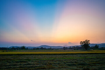 View of rice field in Phu Yen, Vietnam. Rice production in Vietnam in the Mekong and Red River deltas is important to the food supply