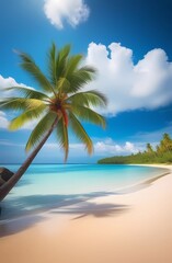 Coconut tree with tropical beach. Creative travel banner.