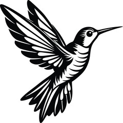 Flying hummingbirds silhouette isolated on white background