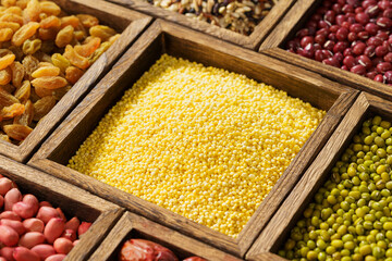 Various grains on a monochrome background