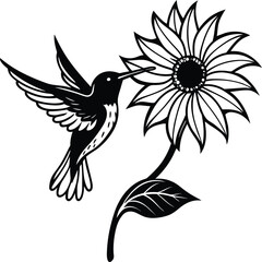 Flying hummingbirds silhouette isolated on white background