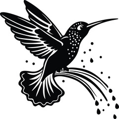 Flying hummingbirds silhouette isolated on white background