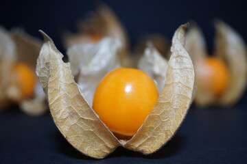 physalis fruit on black background