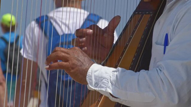 closeup of a mexican harp player's dark skinned hands and long nails during a public performance
