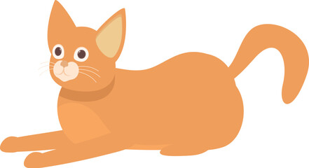 Adorable ginger cat relaxing, lying on its belly and looking up with curiosity