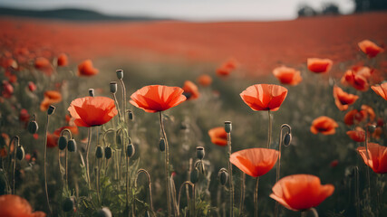 Fototapeta premium Artifical Intelligence generated vivid colorful landscape scenery. Poppy flower background in nature on the mountains. AI generated image