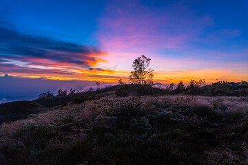 sunrise over the field