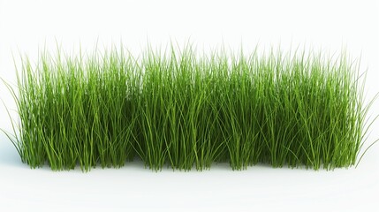 A 3D illustration of manicured garden grass with a smooth texture and even height, set isolated against a white background for a clean look.