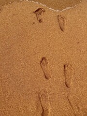 footprints in the sand on the beach