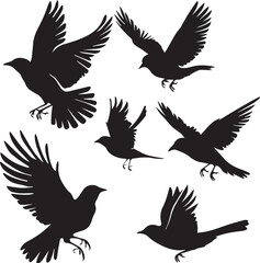 silhouettes of birds