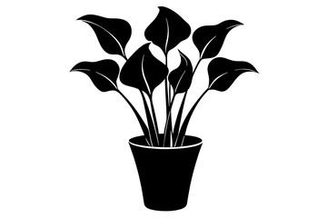 calla lily flower silhouette vector illustration