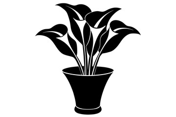 calla lily flower silhouette vector illustration