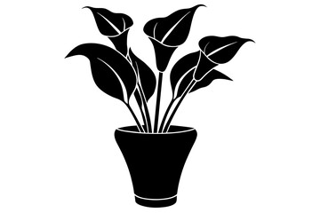 calla lily flower silhouette vector illustration