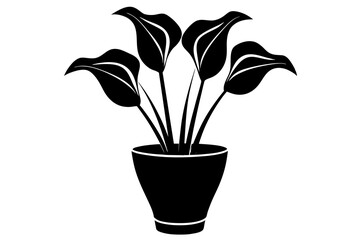 calla lily flower silhouette vector illustration