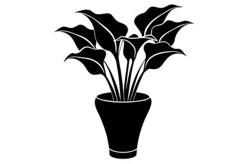 calla lily flower silhouette vector illustration